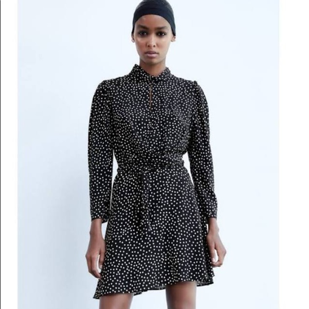 Zara Micro Dot Mini Dress